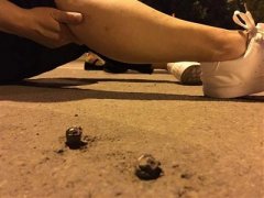 留下了这些路钉
